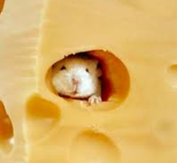 fromage souris
