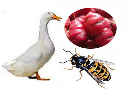 08-intelligibilite-iu