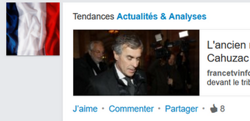 like-condamnation-cahuzac-iu