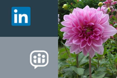 Linkedin-je t’aime-mc-iu